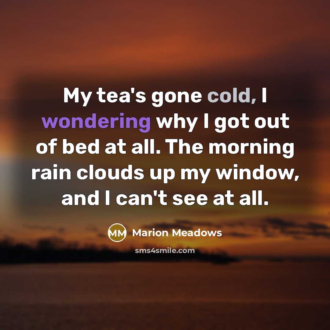 “My tea's gone cold, I wondering why I got out of bed at all. The morning rain clouds up my window, and I can't see at all.” quote by Marion Meadows