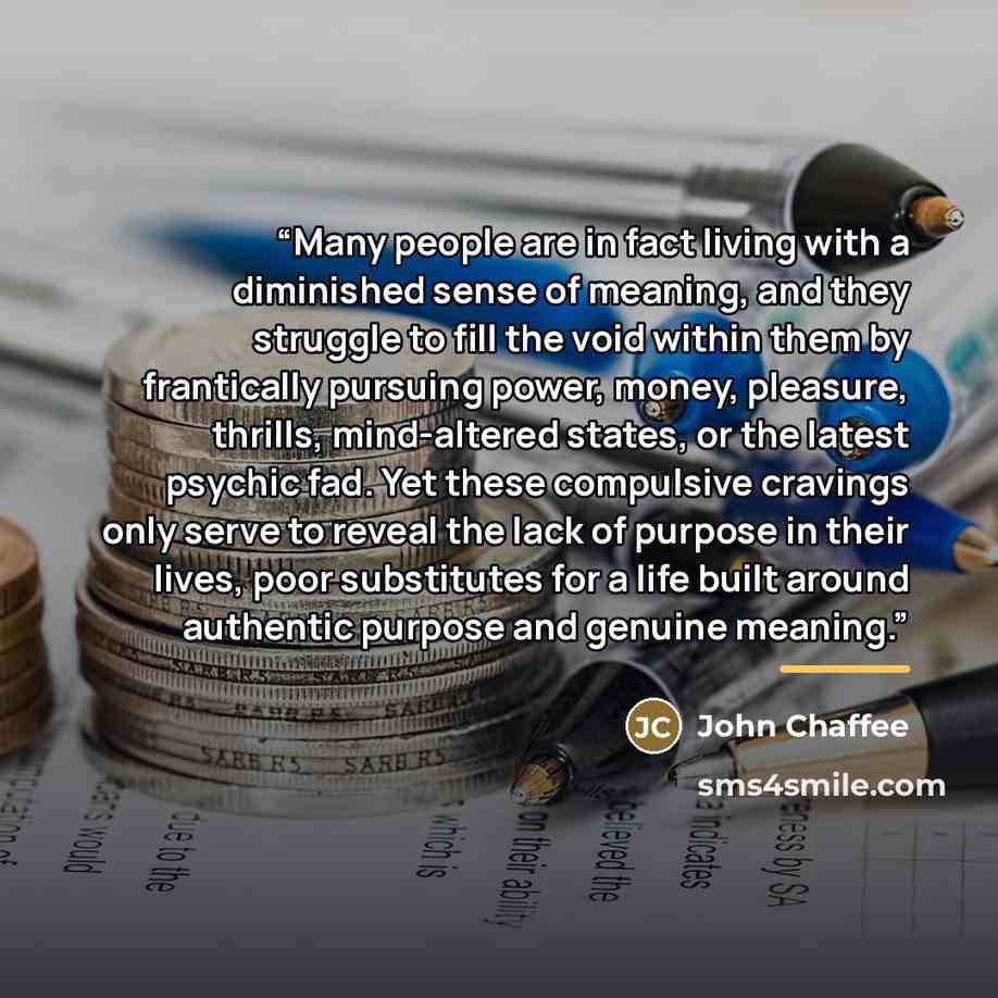 “Many people are in fact living with a diminished sense of meaning, and they struggle to fill the void within them by frantically pursuing power, money, pleasure, thrills, mind-altered states, or the latest psychic fad. Yet these compulsive cravings only serve to reveal the lack of purpose in their…” quote by John Chaffee