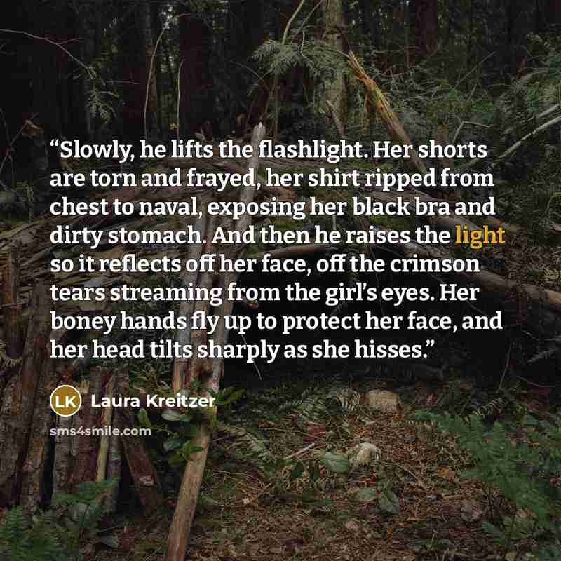 “Slowly, he lifts the flashlight. Her shorts are torn and frayed, her shirt ripped from chest to naval, exposing her black bra and dirty stomach. And then he raises the light so it reflects off her face, off the crimson tears streaming from the girl’s eyes. Her boney hands fly up to protect her…” quote by Laura Kreitzer
