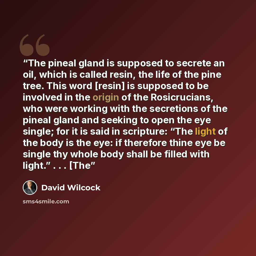 “The pineal gland is supposed to secrete an oil, which is called resin, the life of the pine tree. This word [resin] is supposed to be involved in the origin of the Rosicrucians, who were working with the secretions of the pineal gland and seeking to open the eye single; for it is said in…” quote by David Wilcock