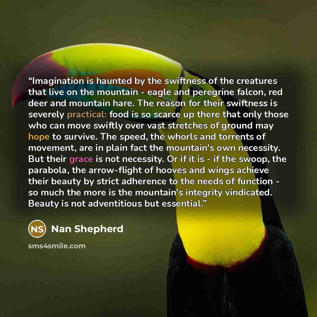 “Imagination is haunted by the swiftness of the creatures that live on the mountain - eagle and peregrine falcon, red deer and mountain hare. The reason for their swiftness is severely practical: food is so scarce up there that only those who can move swiftly over vast stretches of ground may hope…” quote by Nan Shepherd
