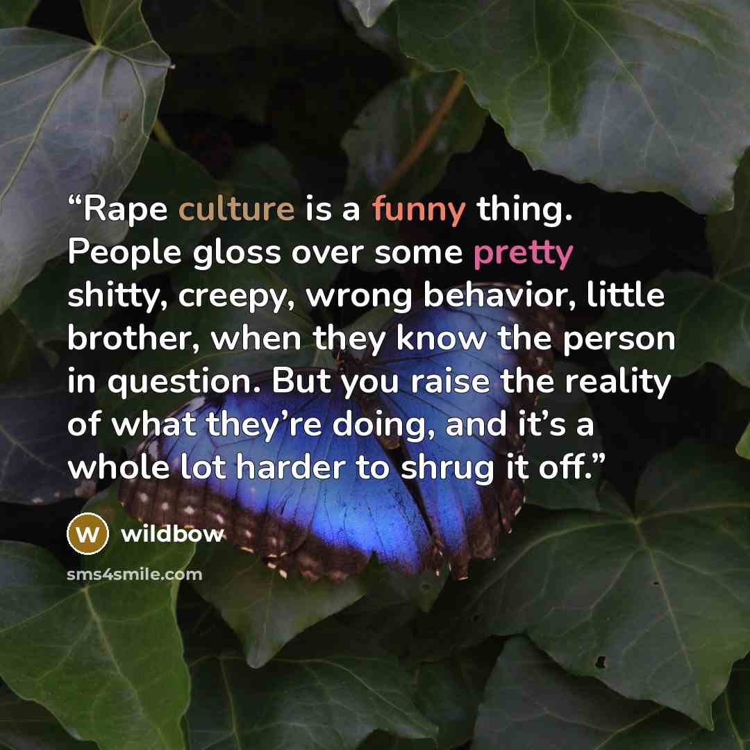 “Rape culture is a funny thing. People gloss over some pretty shitty, creepy, wrong behavior, little brother, when they know the person in question. But you raise the reality of what they’re doing, and it’s a whole lot harder to shrug it off.” quote by wildbow