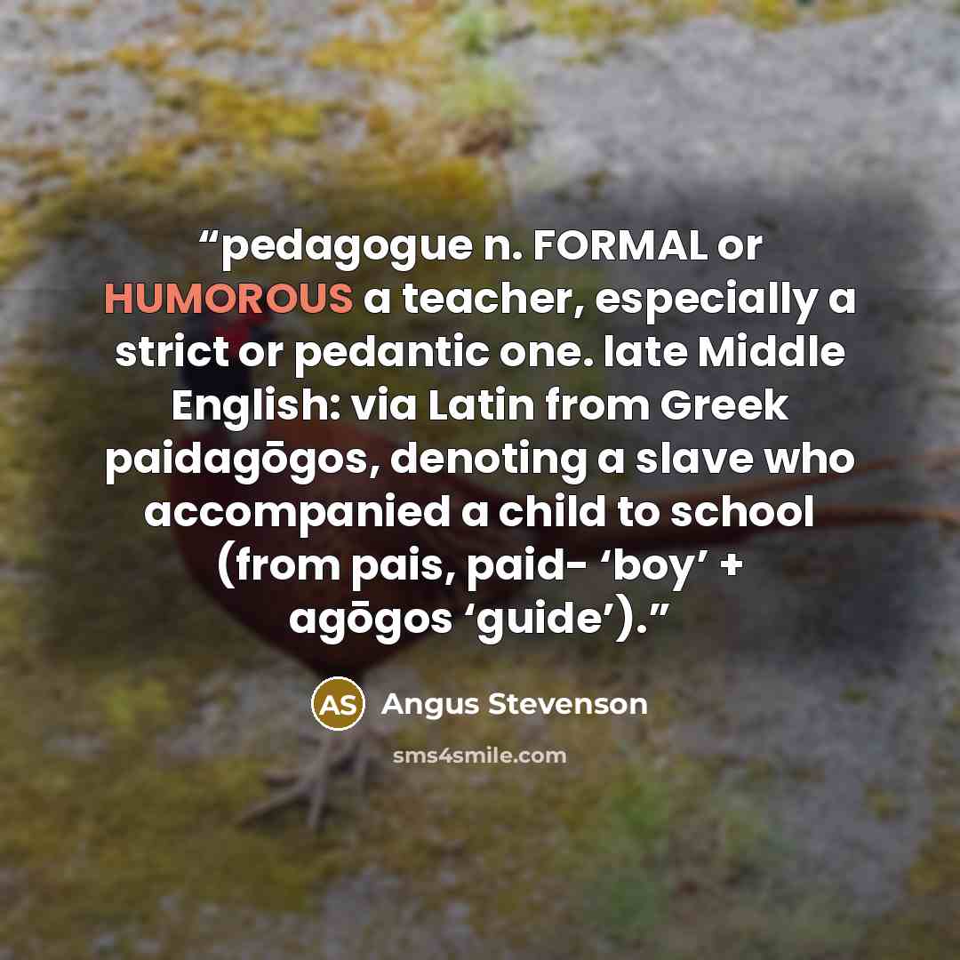 “pedagogue n. FORMAL or HUMOROUS a teacher, especially a strict or pedantic one. late Middle English: via Latin from Greek paidagōgos, denoting a slave who accompanied a child to school (from pais, paid- ‘boy’ + agōgos ‘guide’).” quote by Angus Stevenson