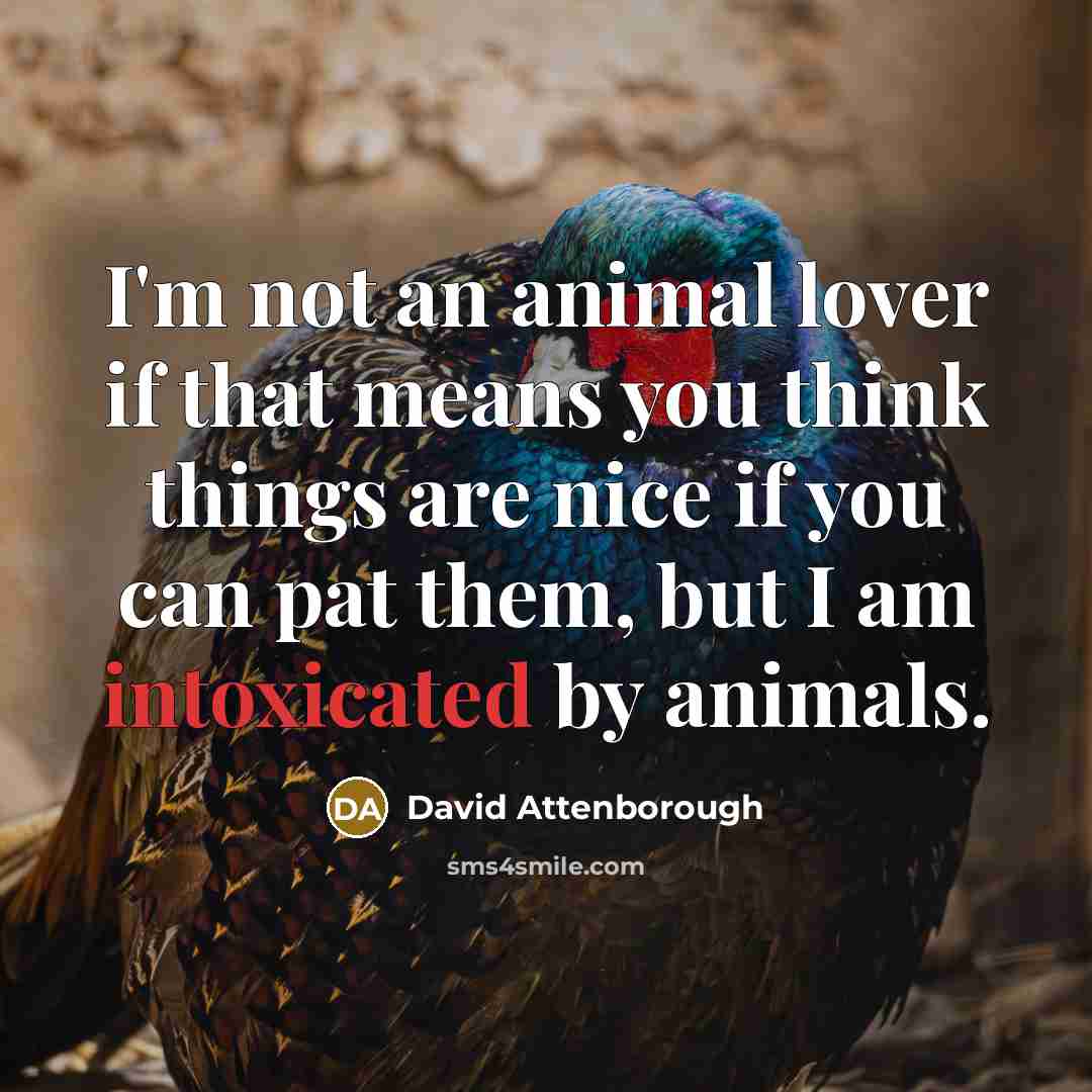 “I'm not an animal lover if that means you think things are nice if you can pat them, but I am intoxicated by animals.” quote by David Attenborough