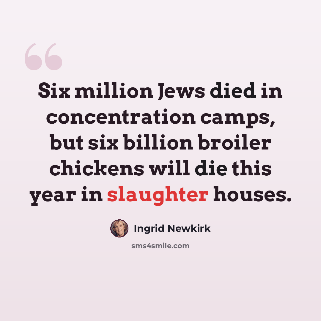 “Six million Jews died in concentration camps, but six billion broiler chickens will die this year in slaughter houses.” quote by Ingrid Newkirk