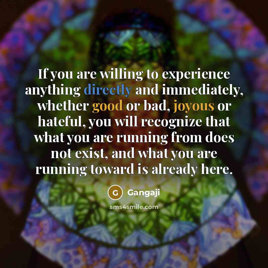 “If you are willing to experience anything directly and immediately, whether good or bad, joyous or hateful, you will recognize that what you are running from does not exist, and what you are running toward is already here.” quote by Gangaji