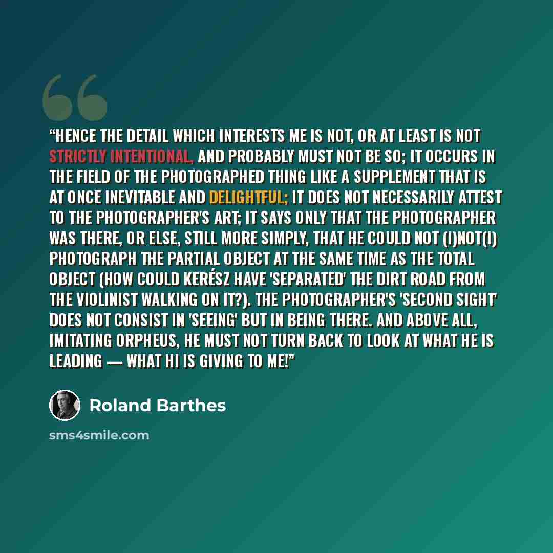 “Hence the detail which interests me is not, or at least is not strictly intentional, and probably must not be so; it occurs in the field of the photographed thing like a supplement that is at once inevitable and delightful; it does not necessarily attest to the photographer's art; it says only…” quote by Roland Barthes
