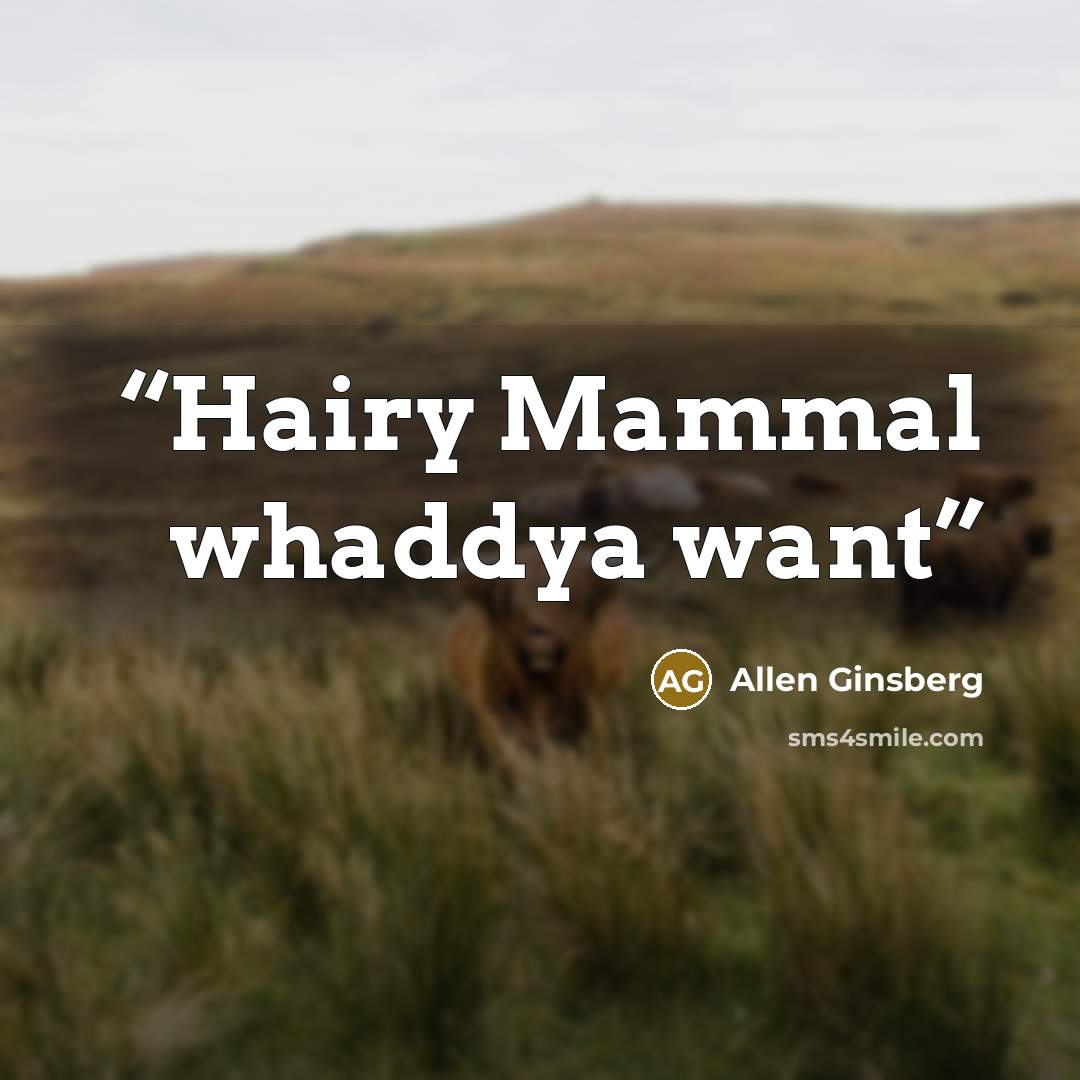 “Hairy Mammal whaddya want” quote by Allen Ginsberg