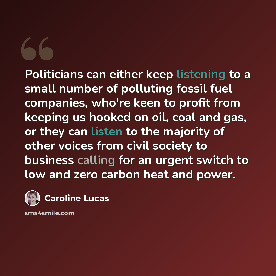 “Politicians can either keep listening to a small number of polluting fossil fuel companies, who're keen to profit from keeping us hooked on oil, coal and gas, or they can listen to the majority of other voices from civil society to business calling for an urgent switch to low and zero carbon heat…” quote by Caroline Lucas