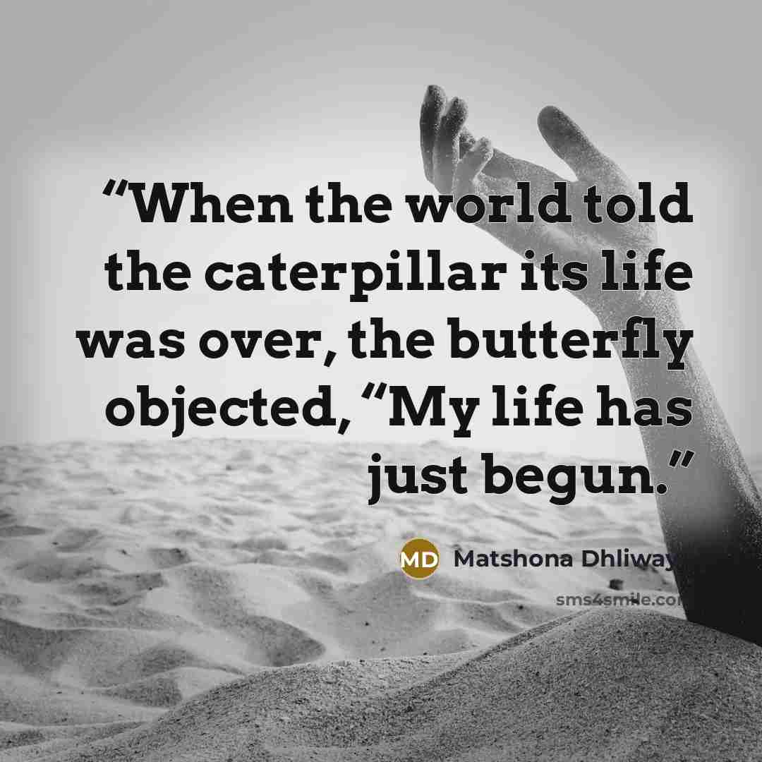 “When the world told the caterpillar its life was over, the butterfly objected, “My life has just begun.” quote by Matshona Dhliwayo