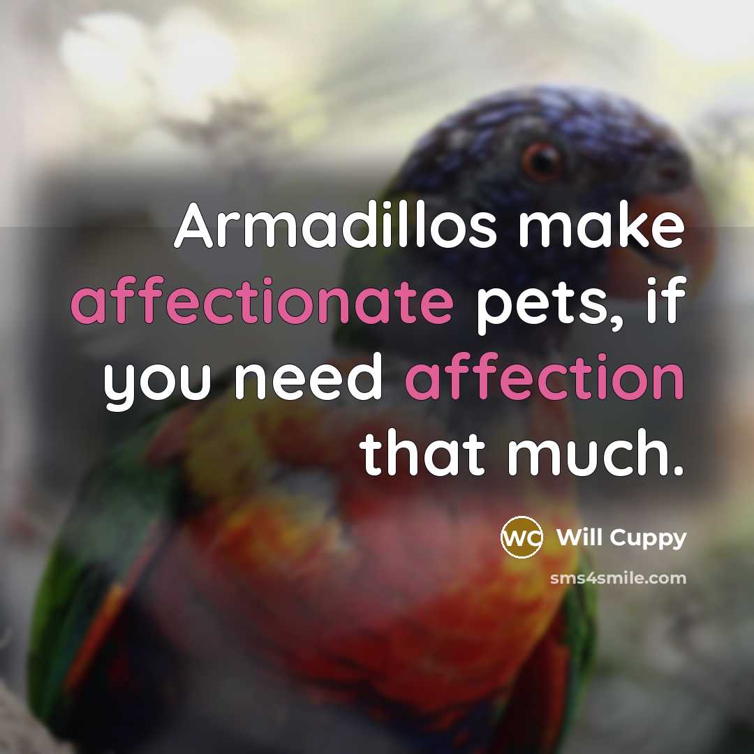 “Armadillos make affectionate pets, if you need affection that much.” quote by Will Cuppy