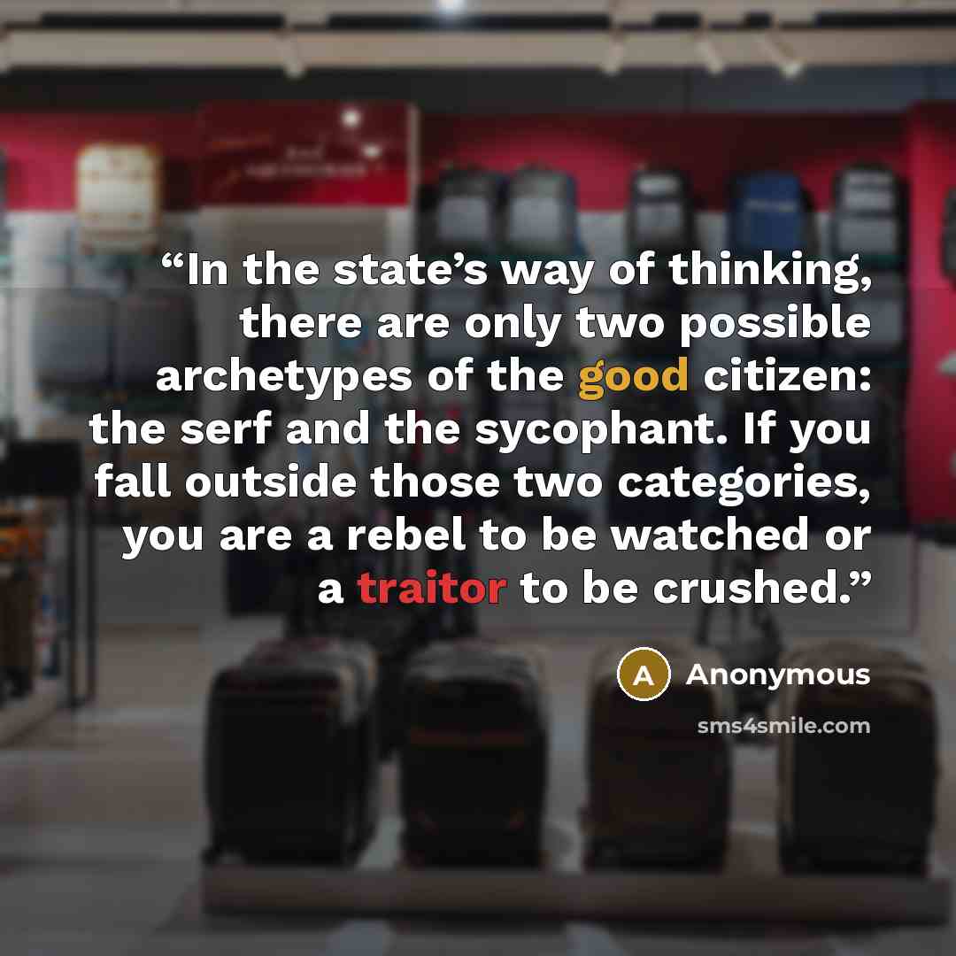 “In the state’s way of thinking, there are only two possible archetypes of the good citizen: the serf and the sycophant. If you fall outside those two categories, you are a rebel to be watched or a traitor to be crushed.” quote by Anonymous