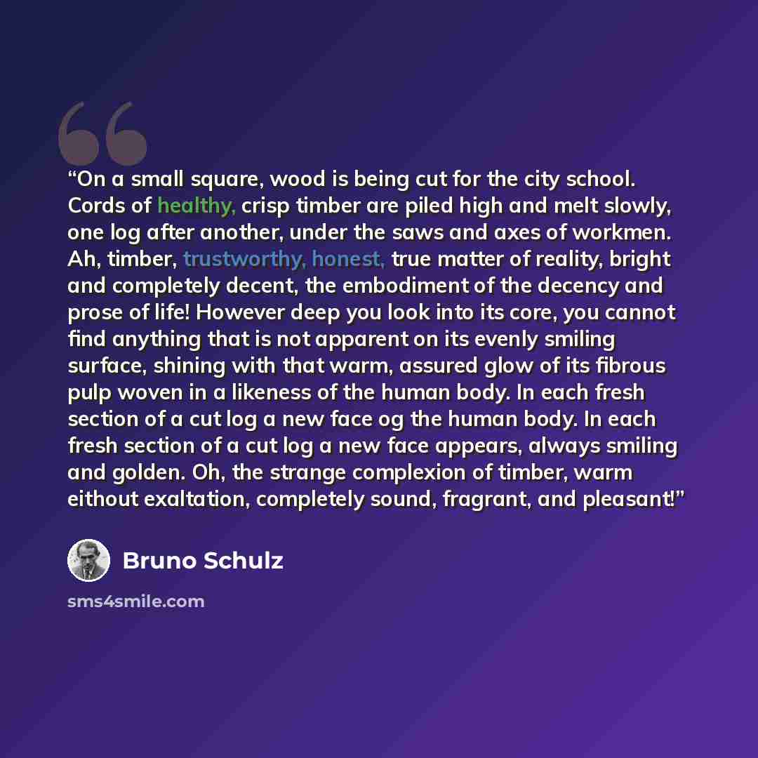 “On a small square, wood is being cut for the city school. Cords of healthy, crisp timber are piled high and melt slowly, one log after another, under the saws and axes of workmen. Ah, timber, trustworthy, honest, true matter of reality, bright and completely decent, the embodiment of the decency…” quote by Bruno Schulz