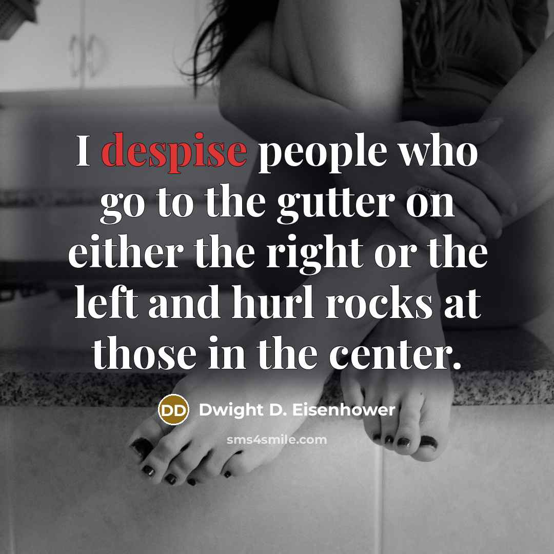 “I despise people who go to the gutter on either the right or the left and hurl rocks at those in the center.” quote by Dwight D. Eisenhower