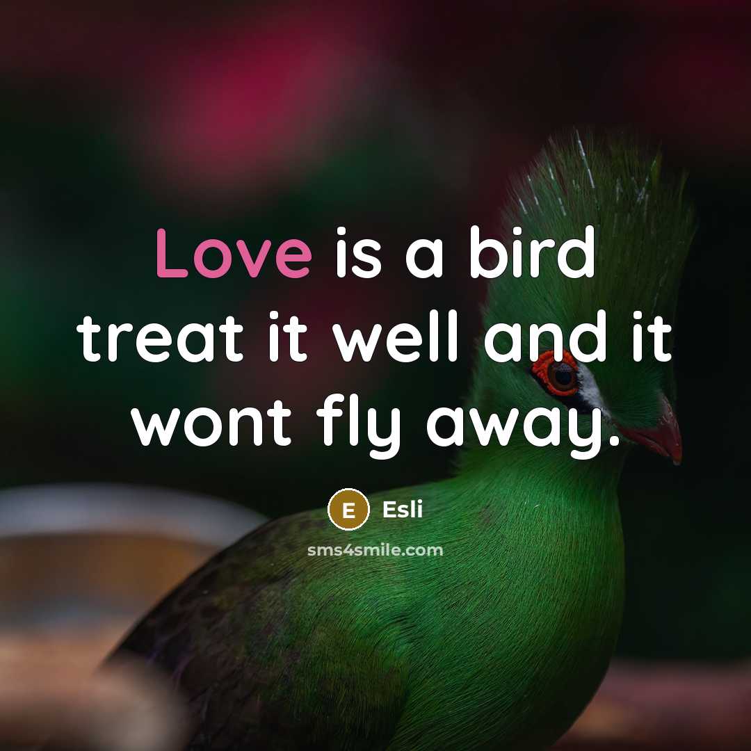 “Love is a bird treat it well and it wont fly away.” quote by Esli