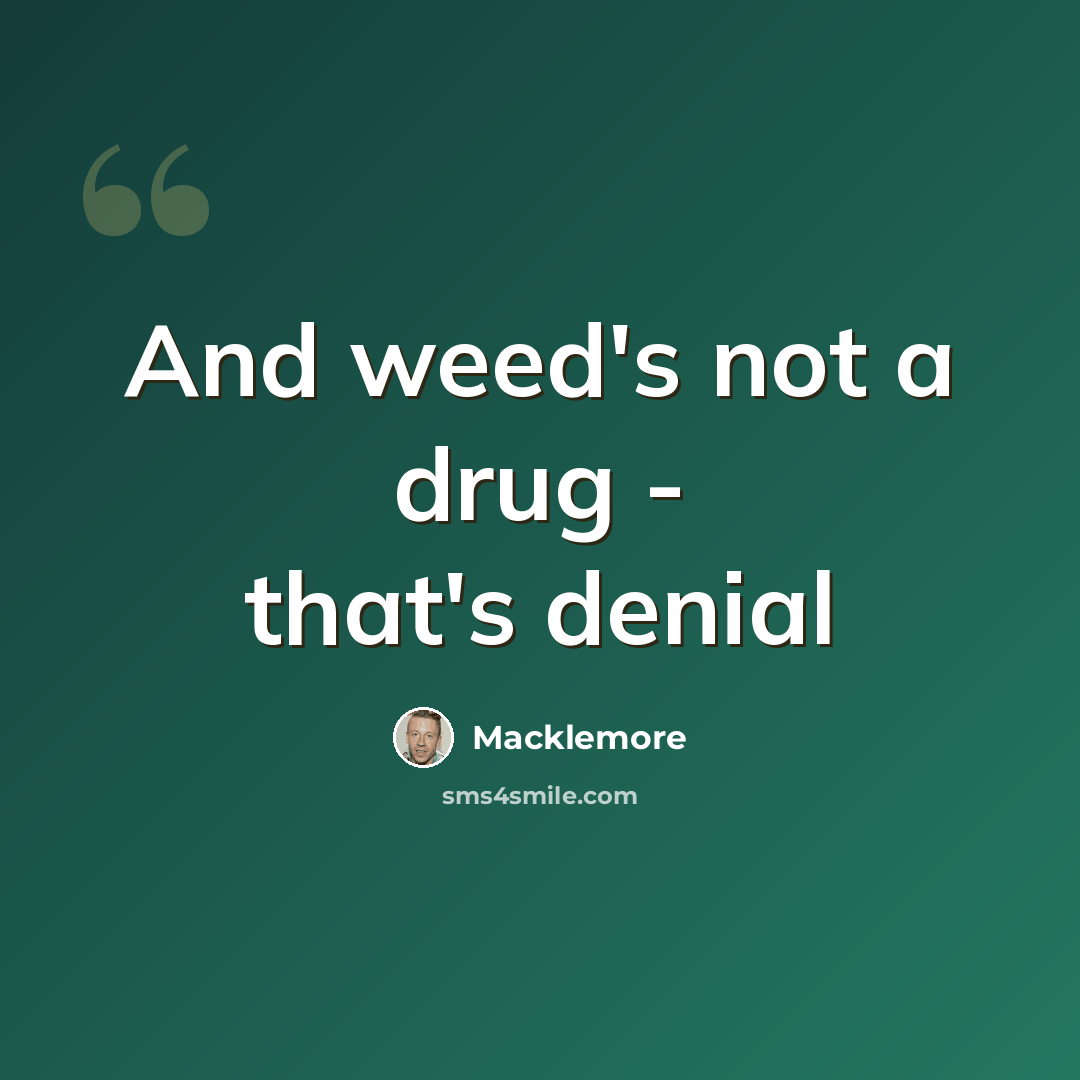 “And weed's not a drug - that's denial” quote by Macklemore