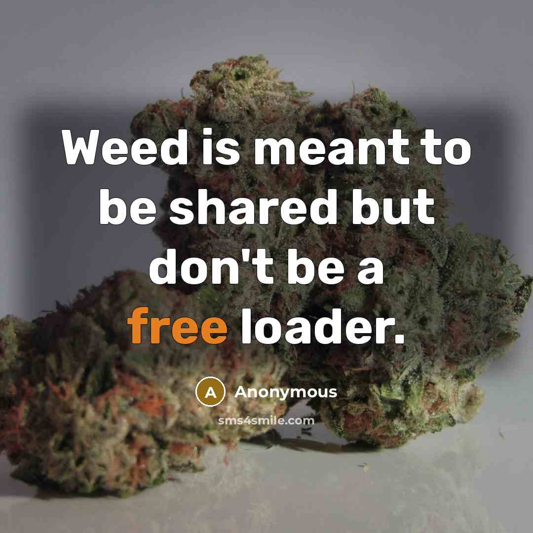 “Weed is meant to be shared but don't be a free loader.” quote by Anonymous