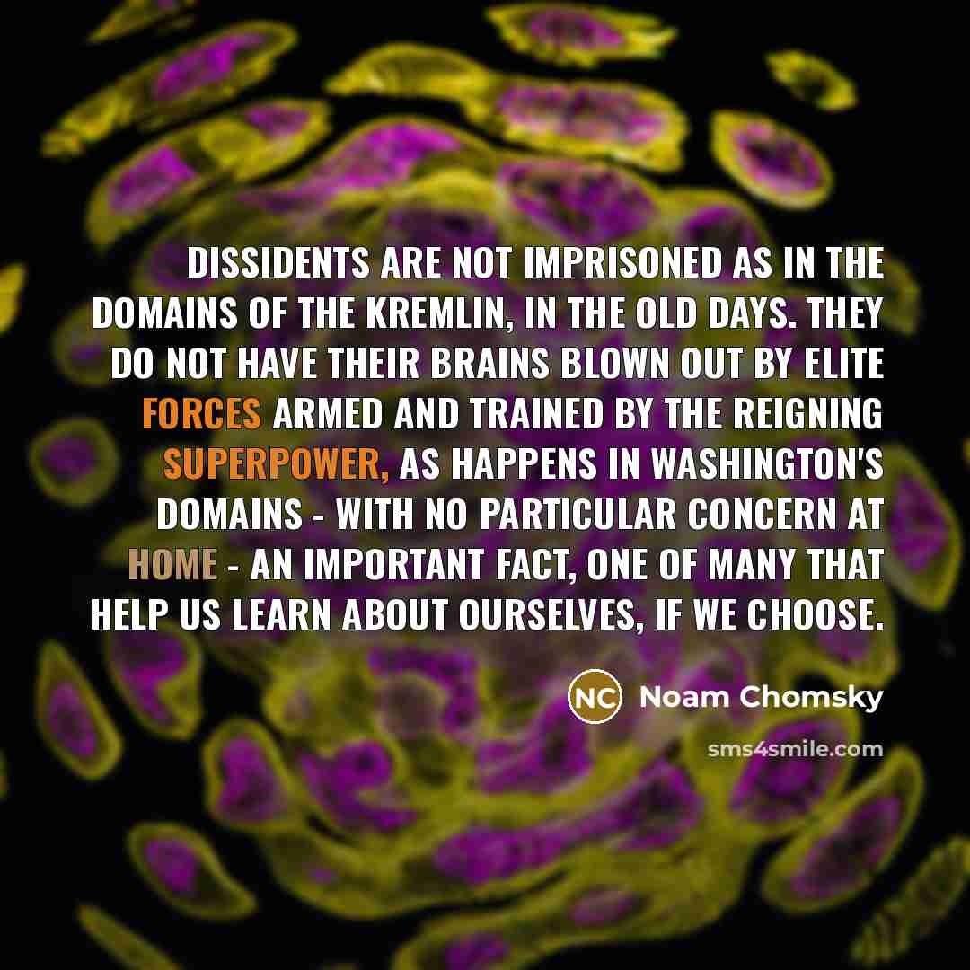 “Dissidents are not imprisoned as in the domains of the Kremlin, in the old days. They do not have their brains blown out by elite forces armed and trained by the reigning superpower, as happens in Washington's domains - with no particular concern at home - an important fact, one of many that help…” quote by Noam Chomsky