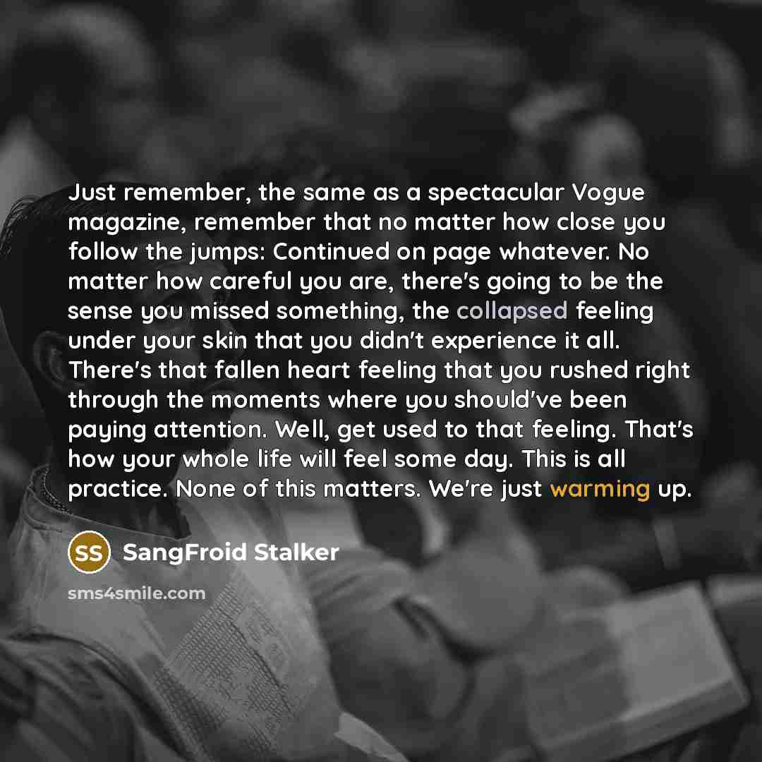 “Just remember, the same as a spectacular Vogue magazine, remember that no matter how close you follow the jumps: Continued on page whatever. No matter how careful you are, there's going to be the sense you missed something, the collapsed feeling under your skin that you didn't experience it all…” quote by SangFroid Stalker