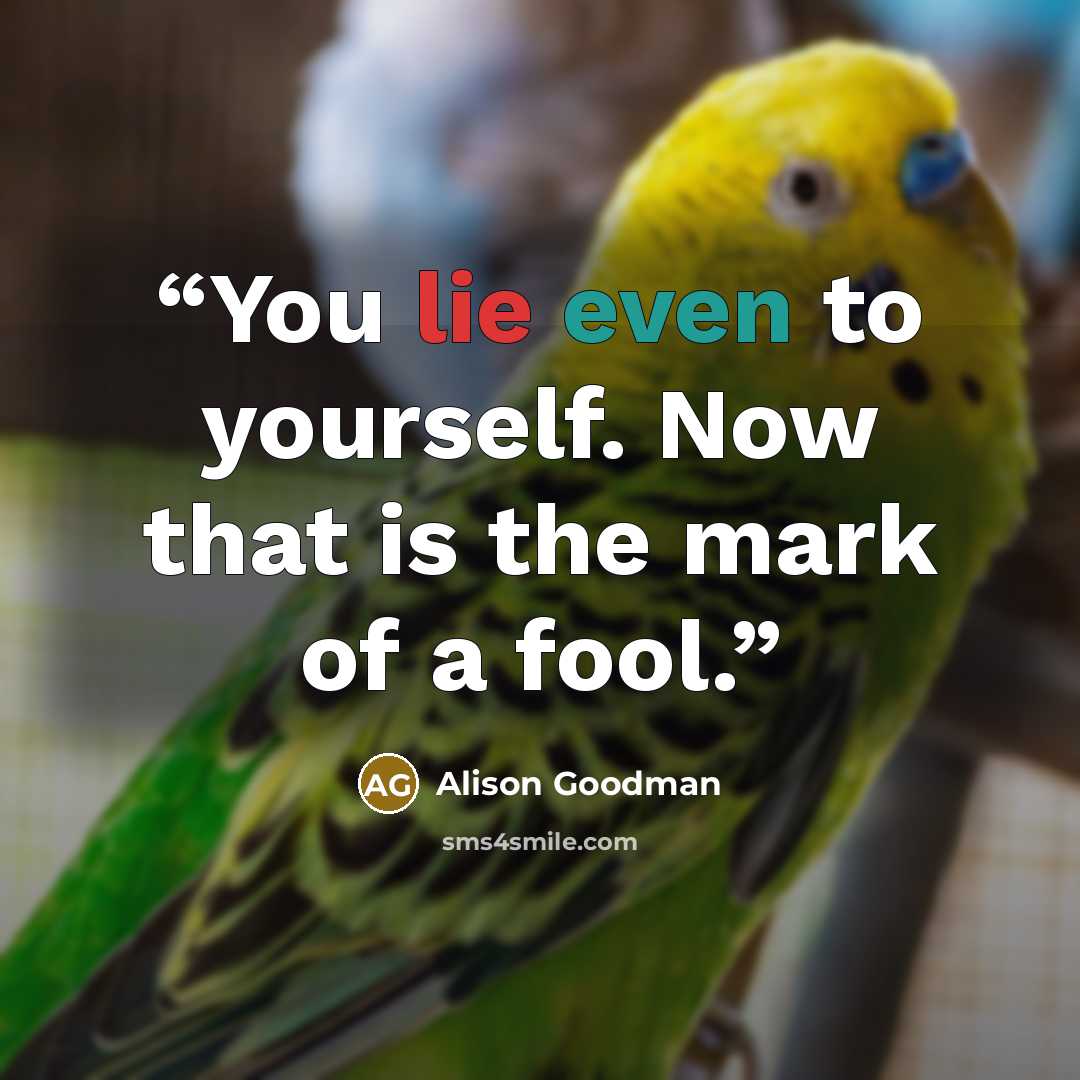 “You lie even to yourself. Now that is the mark of a fool.” quote by Alison Goodman