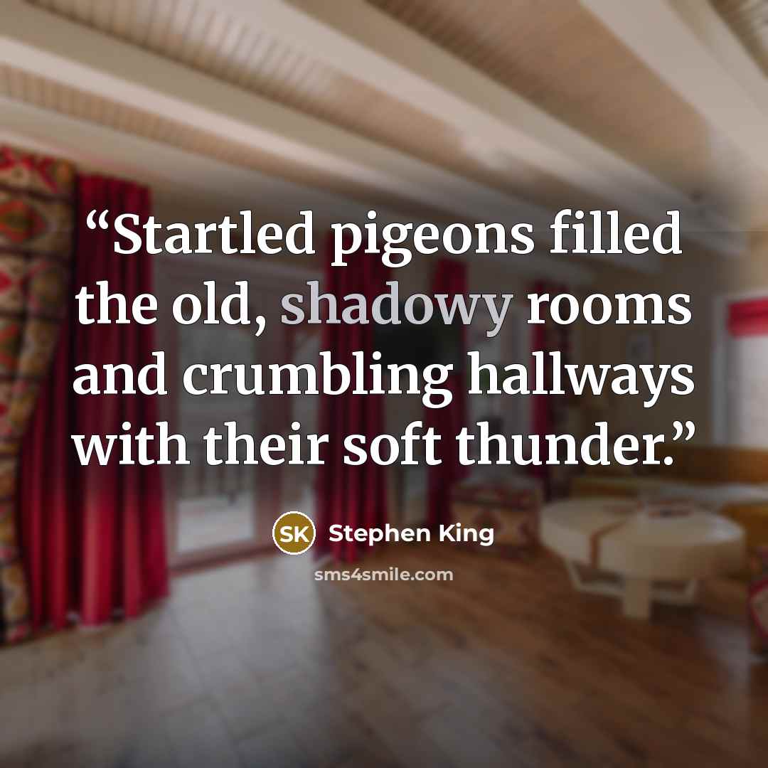 “Startled pigeons filled the old, shadowy rooms and crumbling hallways with their soft thunder.” quote by Stephen King