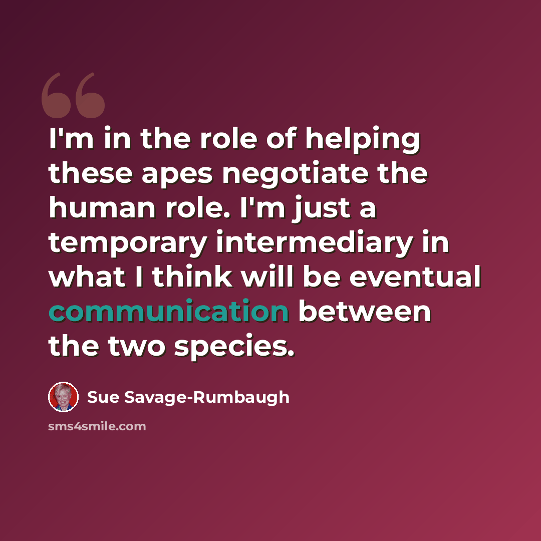 “I'm in the role of helping these apes negotiate the human role. I'm just a temporary intermediary in what I think will be eventual communication between the two species.” quote by Sue Savage-Rumbaugh