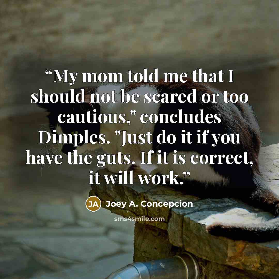 “My mom told me that I should not be scared or too cautious," concludes Dimples. "Just do it if you have the guts. If it is correct, it will work.” quote by Joey A. Concepcion