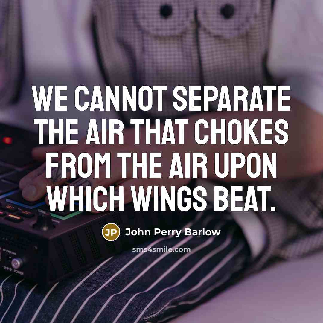 “We cannot separate the air that chokes from the air upon which wings beat.” quote by John Perry Barlow