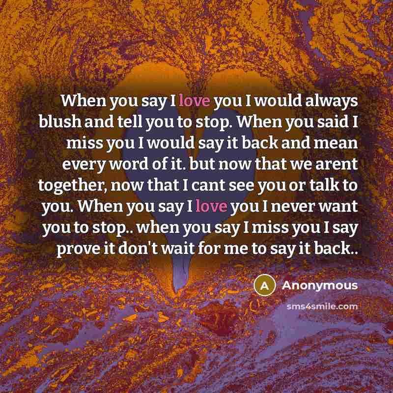 “When you say I love you I would always blush and tell you to stop. When you said I miss you I would say it back and mean every word of it. but now that we arent together, now that I cant see you or talk to you. When you say I love you I never want you to stop.. when you say I miss you I say prove…” quote by Anonymous