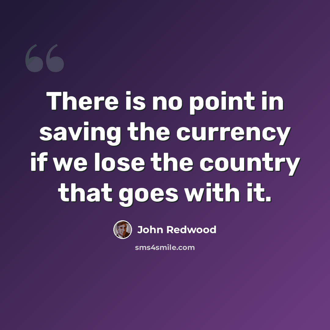 “There is no point in saving the currency if we lose the country that goes with it.” quote by John Redwood