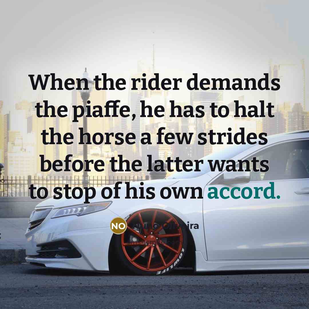 “When the rider demands the piaffe, he has to halt the horse a few strides before the latter wants to stop of his own accord.” quote by Nuno Oliveira