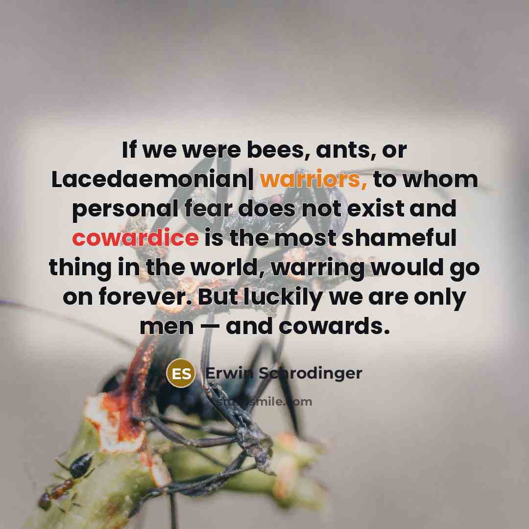 “If we were bees, ants, or Lacedaemonian| warriors, to whom personal fear does not exist and cowardice is the most shameful thing in the world, warring would go on forever. But luckily we are only men — and cowards.” quote by Erwin Schrodinger