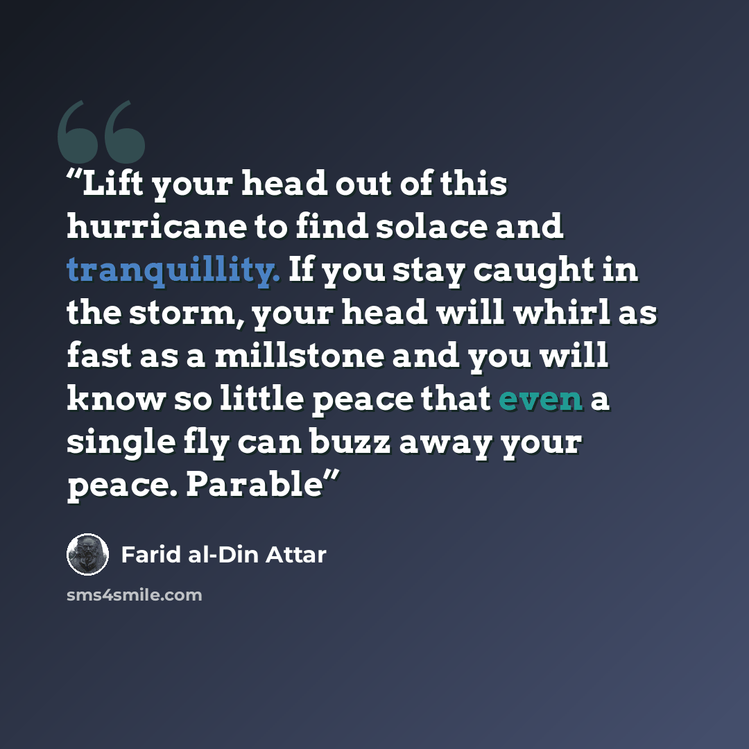 “Lift your head out of this hurricane to find solace and tranquillity. If you stay caught in the storm, your head will whirl as fast as a millstone and you will know so little peace that even a single fly can buzz away your peace. Parable” quote by Farid al-Din Attar
