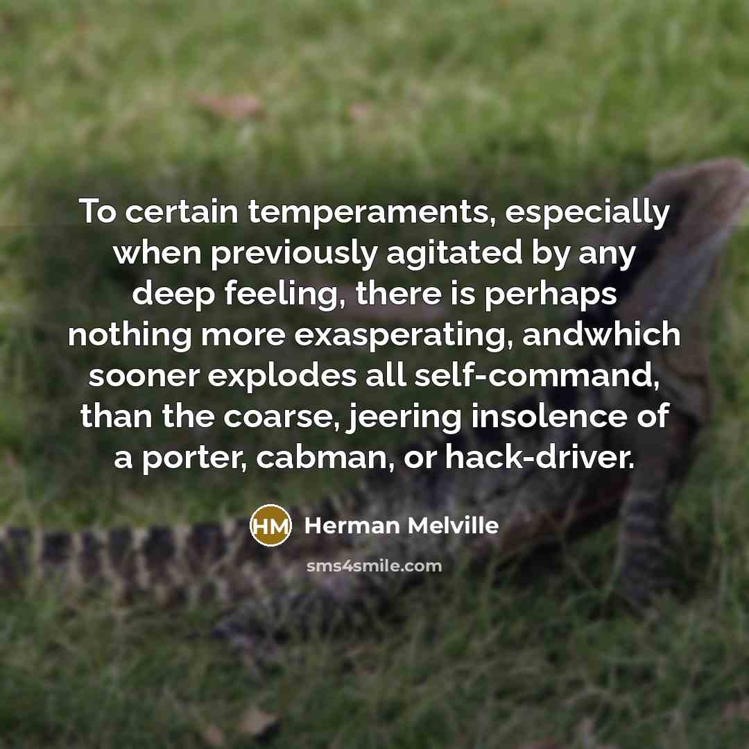 “To certain temperaments, especially when previously agitated by any deep feeling, there is perhaps nothing more exasperating, andwhich sooner explodes all self-command, than the coarse, jeering insolence of a porter, cabman, or hack-driver.” quote by Herman Melville