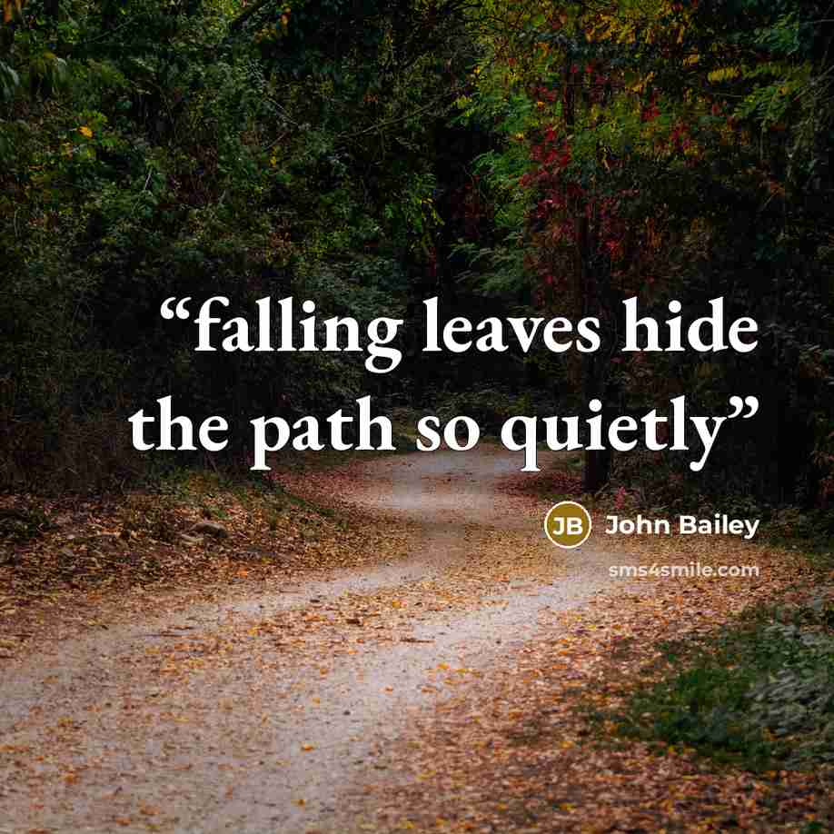 “falling leaves hide the path so quietly” quote by John Bailey