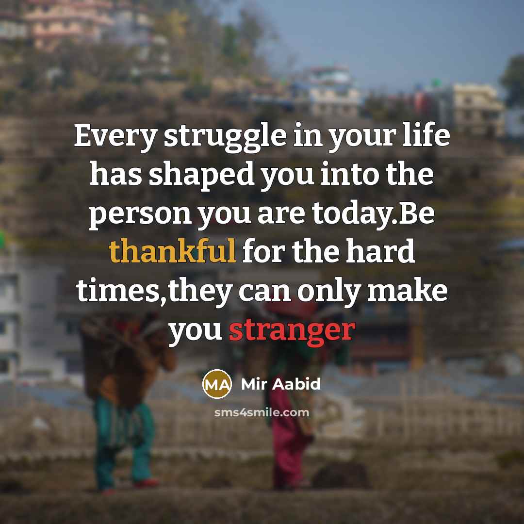 “Every struggle in your life has shaped you into the person you are today.Be thankful for the hard times,they can only make you stranger” quote by Mir Aabid