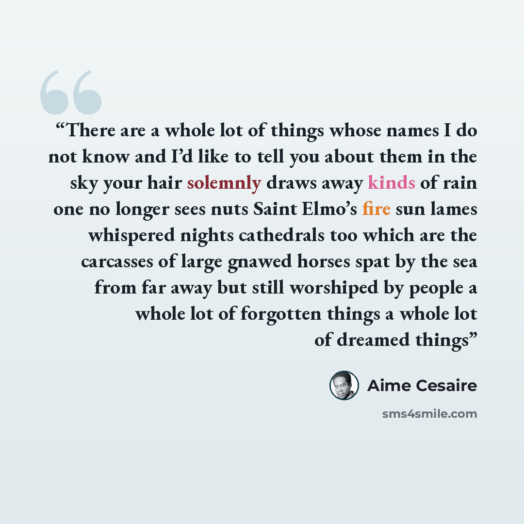 “There are a whole lot of things whose names I do not know and I’d like to tell you about them in the sky your hair solemnly draws away kinds of rain one no longer sees nuts Saint Elmo’s fire sun lames whispered nights cathedrals too which are the carcasses of large gnawed horses spat by the sea…” quote by Aimé Césaire