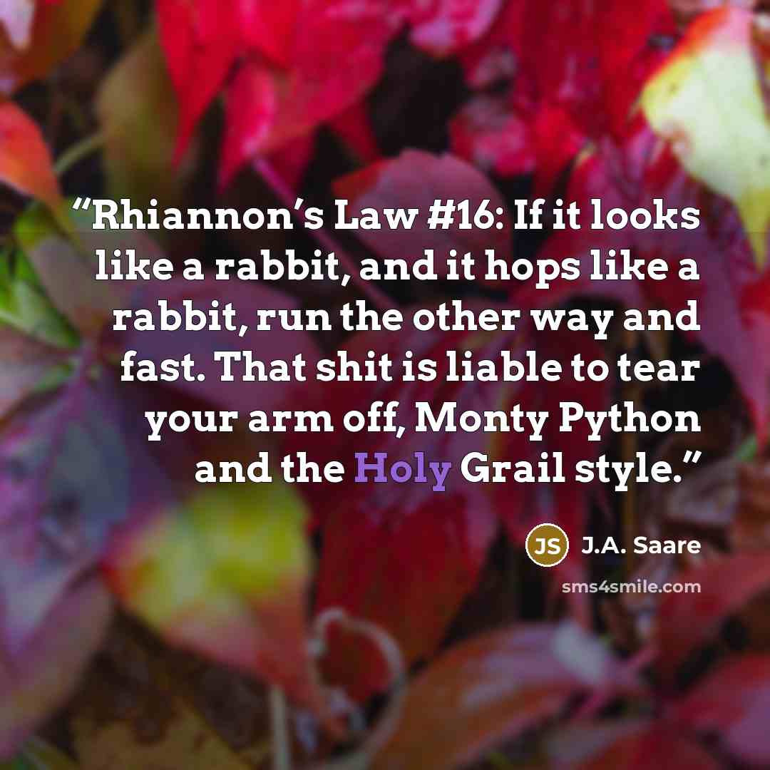 “Rhiannon’s Law #16: If it looks like a rabbit, and it hops like a rabbit, run the other way and fast. That shit is liable to tear your arm off, Monty Python and the Holy Grail style.” quote by J.A. Saare
