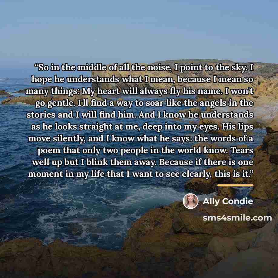 “So in the middle of all the noise, I point to the sky. I hope he understands what I mean, because I mean so many things: My heart will always fly his name. I won't go gentle. I'll find a way to soar like the angels in the stories and I will find him. And I know he understands as he looks straight…” quote by Ally Condie