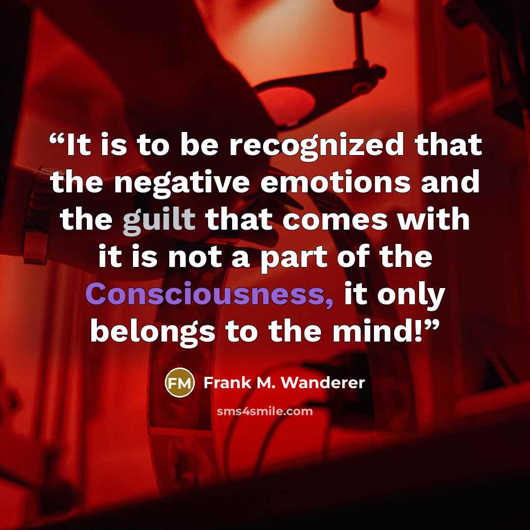 “It is to be recognized that the negative emotions and the guilt that comes with it is not a part of the Consciousness, it only belongs to the mind!” quote by Frank M. Wanderer
