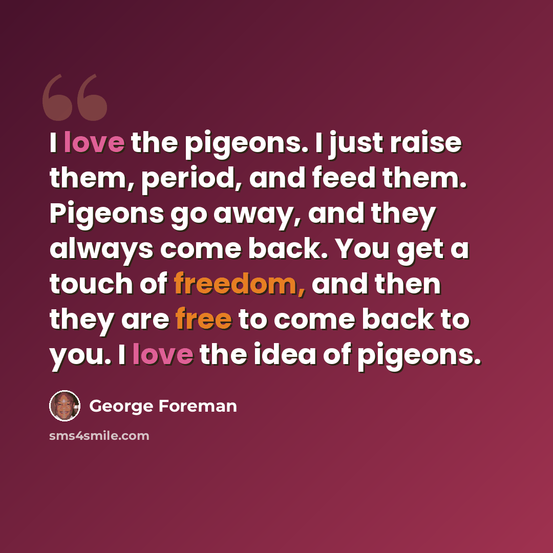 “I love the pigeons. I just raise them, period, and feed them. Pigeons go away, and they always come back. You get a touch of freedom, and then they are free to come back to you. I love the idea of pigeons.” quote by George Foreman