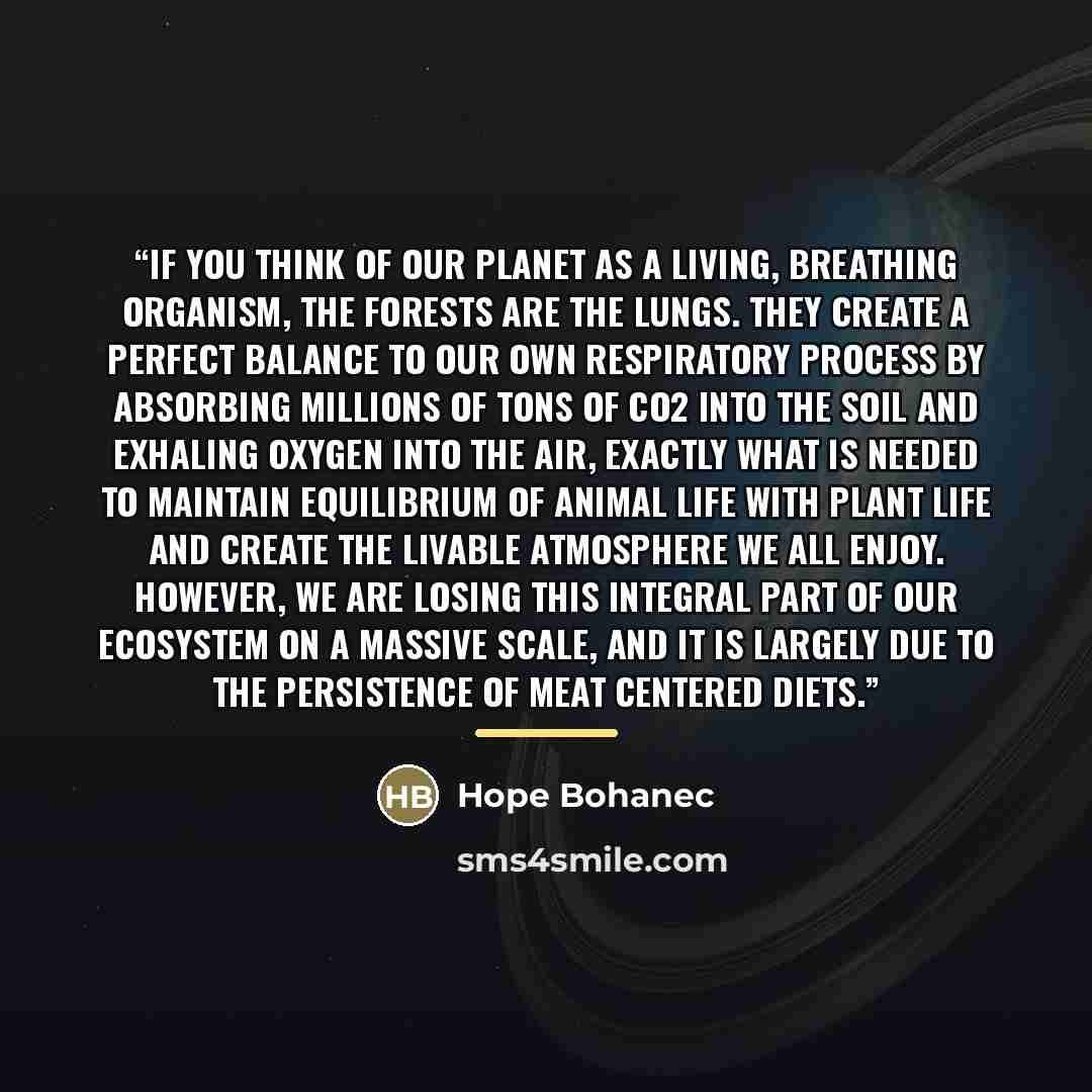 “If you think of our planet as a living, breathing organism, the forests are the lungs. They create a perfect balance to our own respiratory process by absorbing millions of tons of CO2 into the soil and exhaling oxygen into the air, exactly what is needed to maintain equilibrium of animal life…” quote by Hope Bohanec