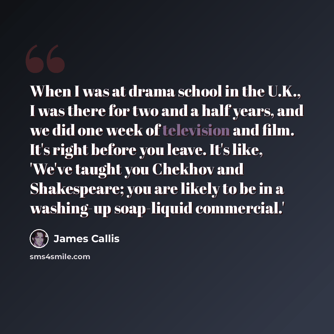 “When I was at drama school in the U.K., I was there for two and a half years, and we did one week of television and film. It's right before you leave. It's like, 'We've taught you Chekhov and Shakespeare; you are likely to be in a washing-up soap-liquid commercial.'” quote by James Callis