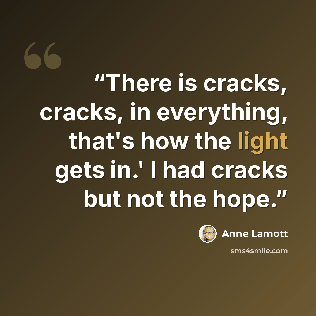“There is cracks, cracks, in everything, that's how the light gets in.' I had cracks but not the hope.” quote by Anne Lamott