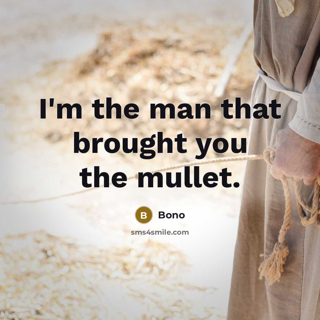 “I'm the man that brought you the mullet.” quote by Bono