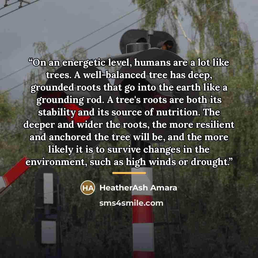 “On an energetic level, humans are a lot like trees. A well-balanced tree has deep, grounded roots that go into the earth like a grounding rod. A tree's roots are both its stability and its source of nutrition. The deeper and wider the roots, the more resilient and anchored the tree will be, and…” quote by HeatherAsh Amara