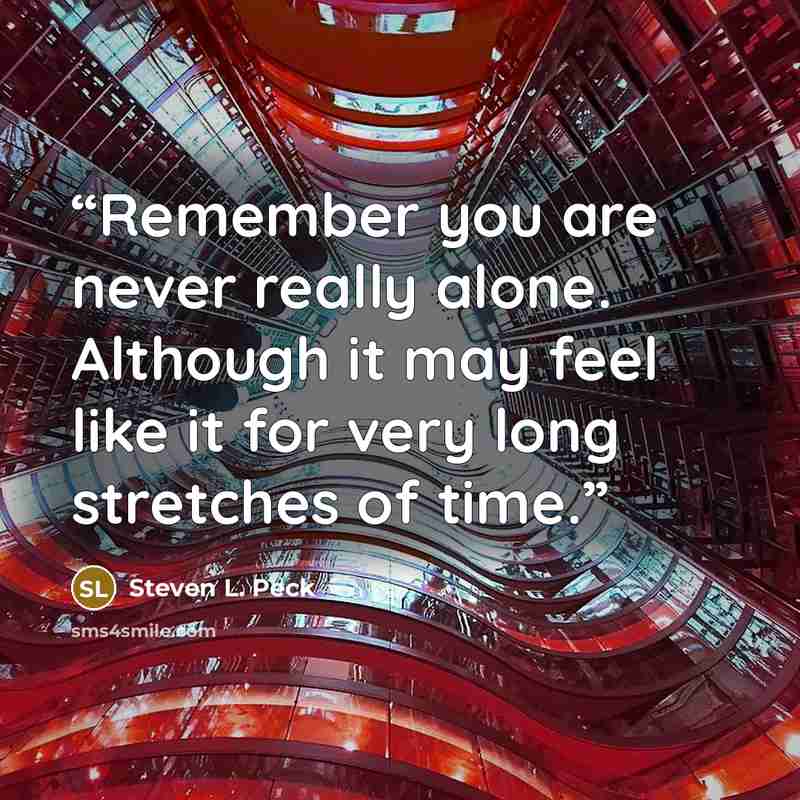 “Remember you are never really alone. Although it may feel like it for very long stretches of time.” quote by Steven L. Peck