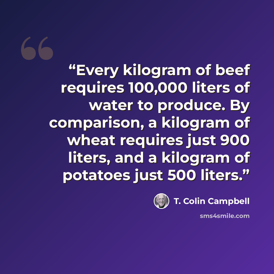 “Every kilogram of beef requires 100,000 liters of water to produce. By comparison, a kilogram of wheat requires just 900 liters, and a kilogram of potatoes just 500 liters.” quote by T. Colin Campbell