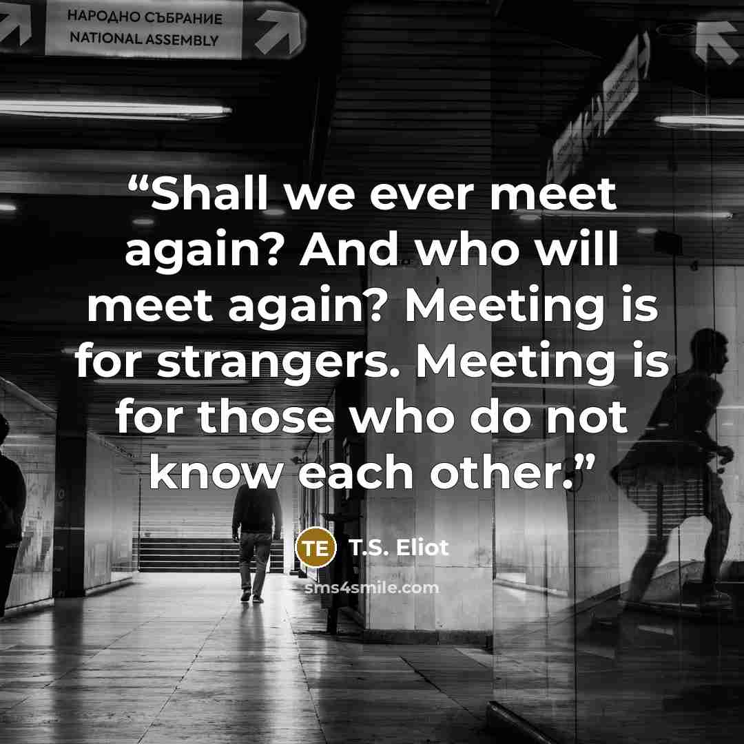 “Shall we ever meet again? And who will meet again? Meeting is for strangers. Meeting is for those who do not know each other.” quote by T.S. Eliot