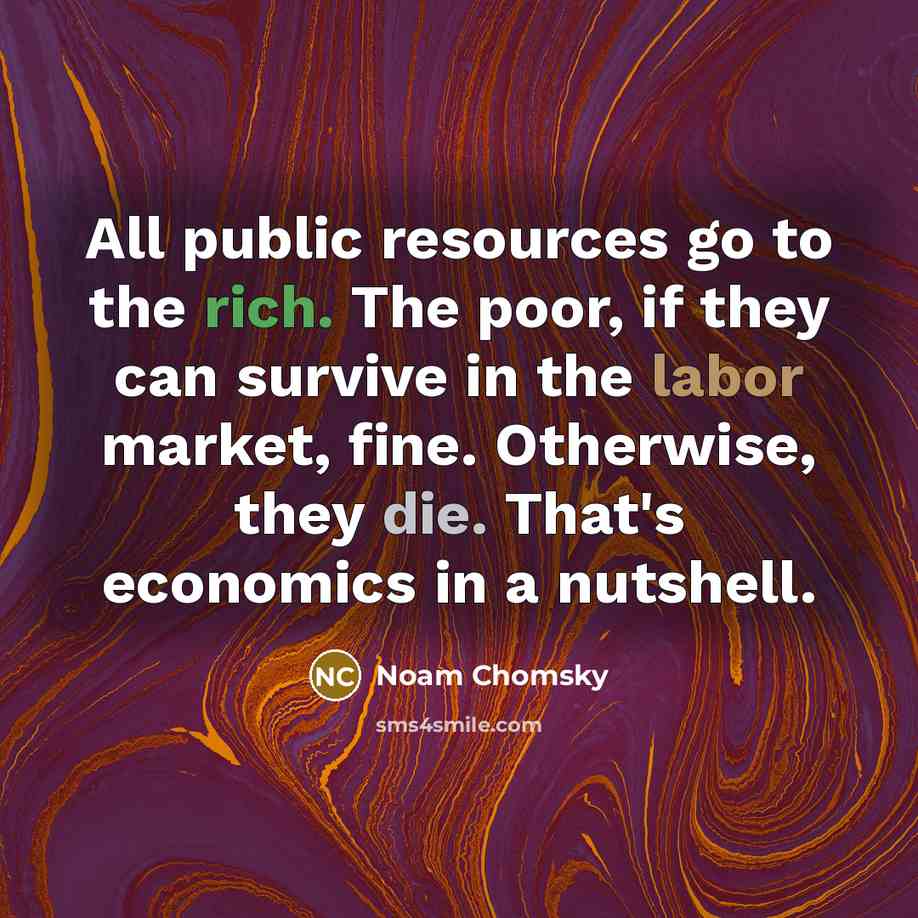 “All public resources go to the rich. The poor, if they can survive in the labor market, fine. Otherwise, they die. That's economics in a nutshell.” quote by Noam Chomsky